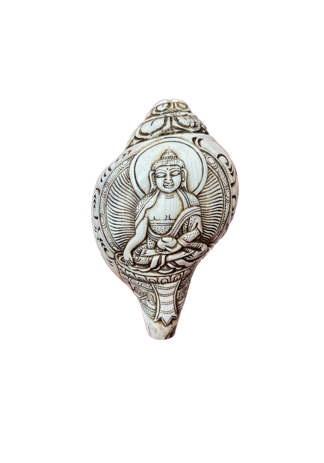 Conch Shell with Akshobhya Buddha / Shankha / Dung Dkar / Blaschel / Snail Trumpet / Conch Shell Buddha